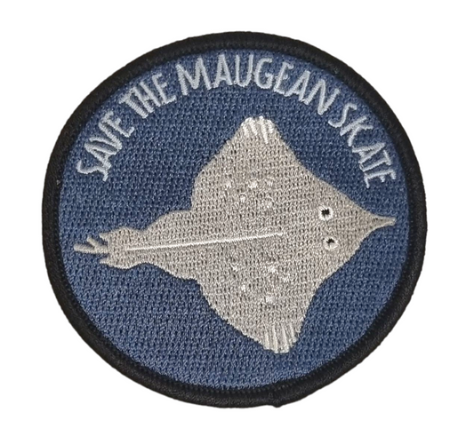 Skate Patch