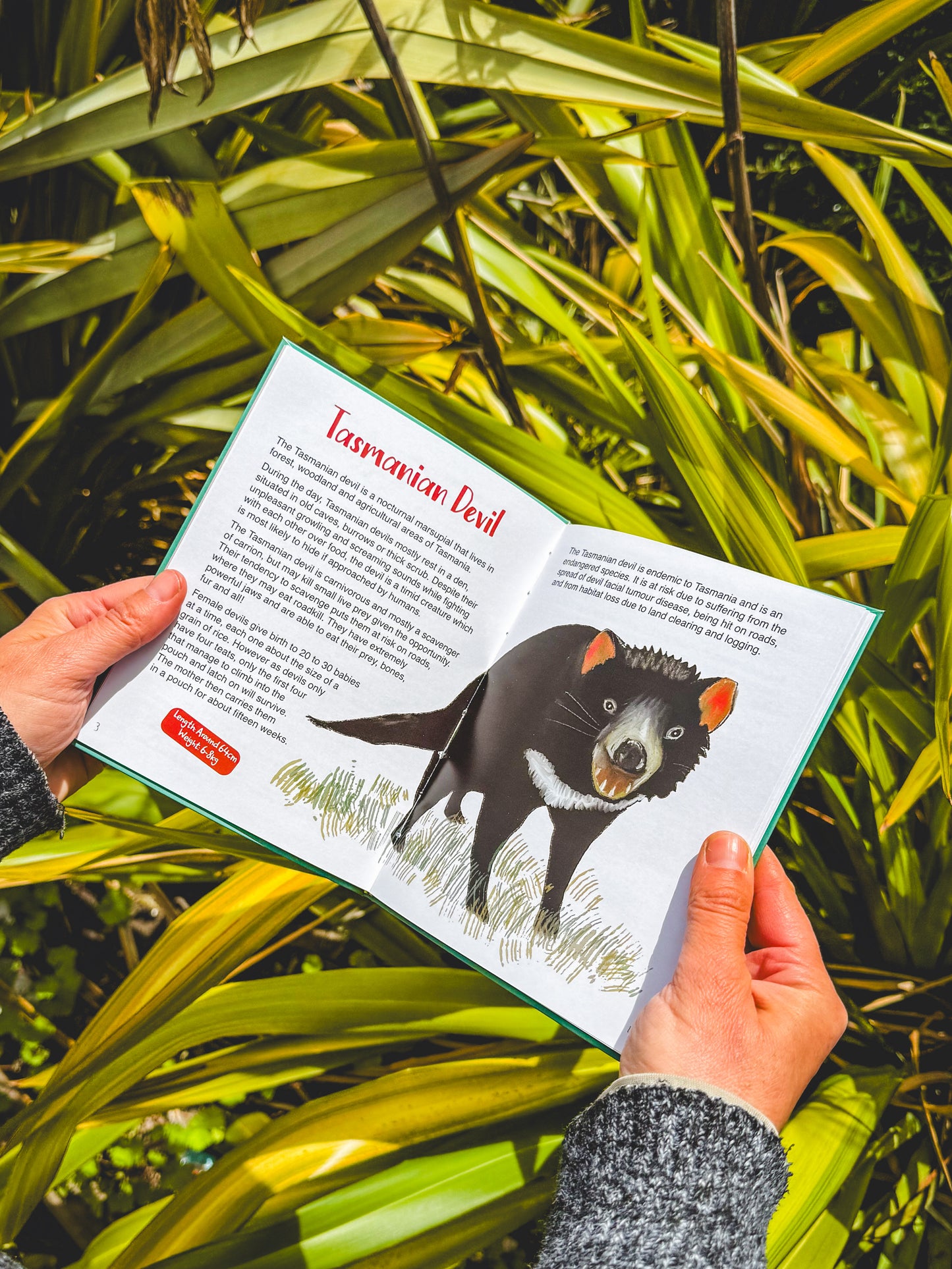 The (almost) Complete Guide to the Mammals of Tasmania