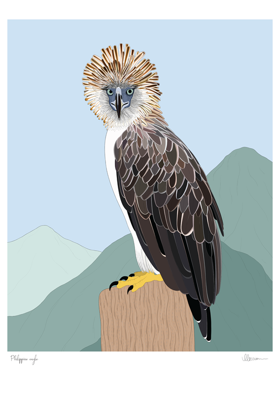 Philippine Eagle Print