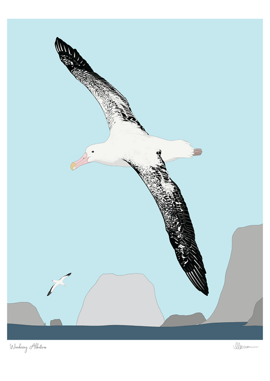 Wandering Albatross Print