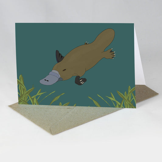 Australian Animal Card - Platypus