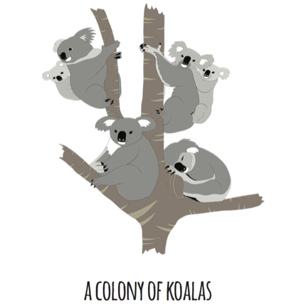 A Colony of Koalas Art Print