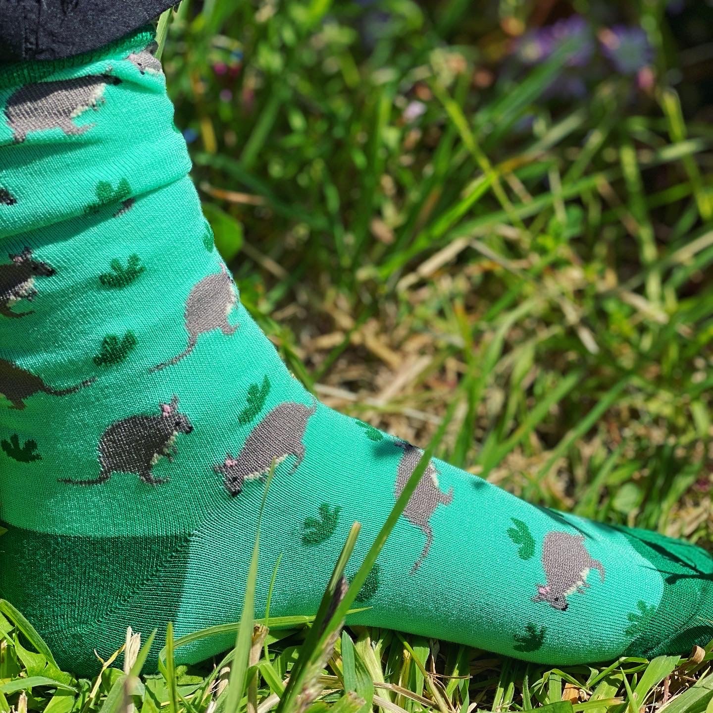 Pademelon Socks