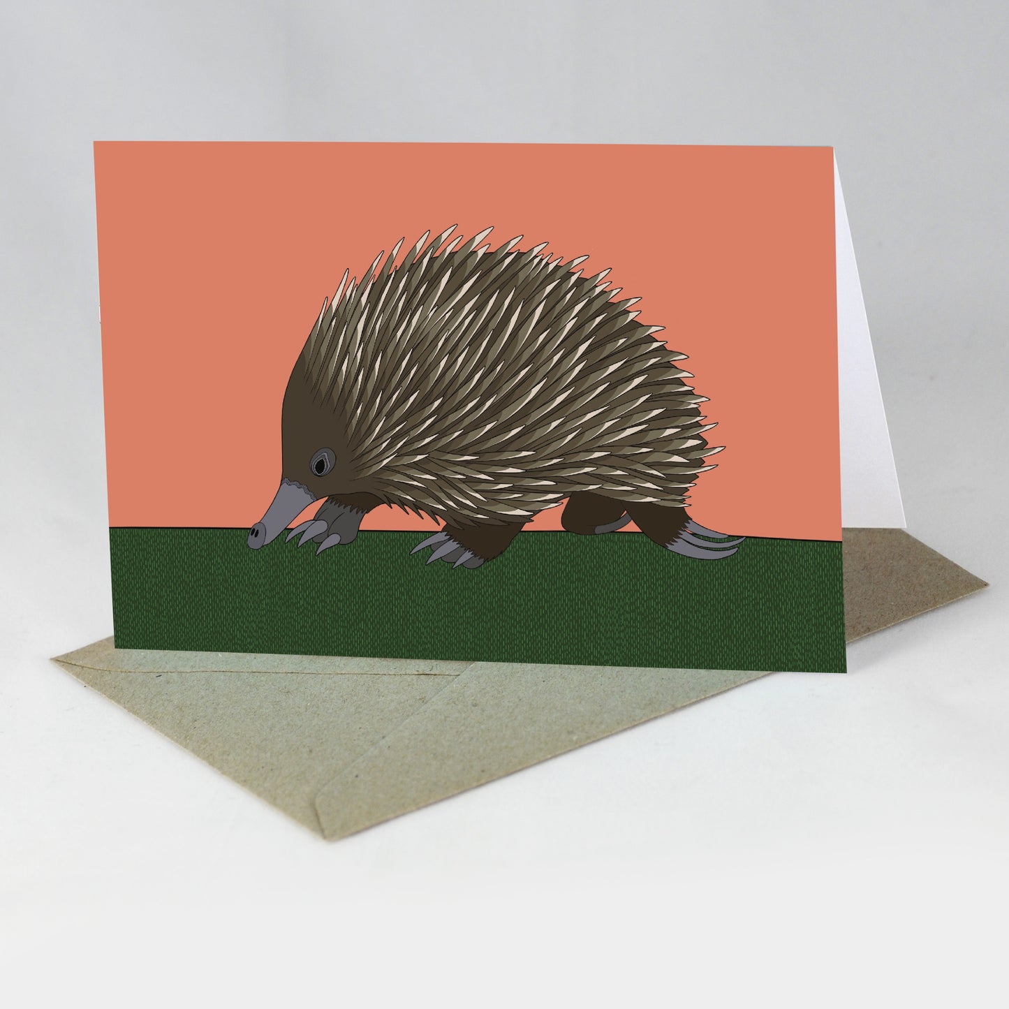 Australian Animal Card - Echidna