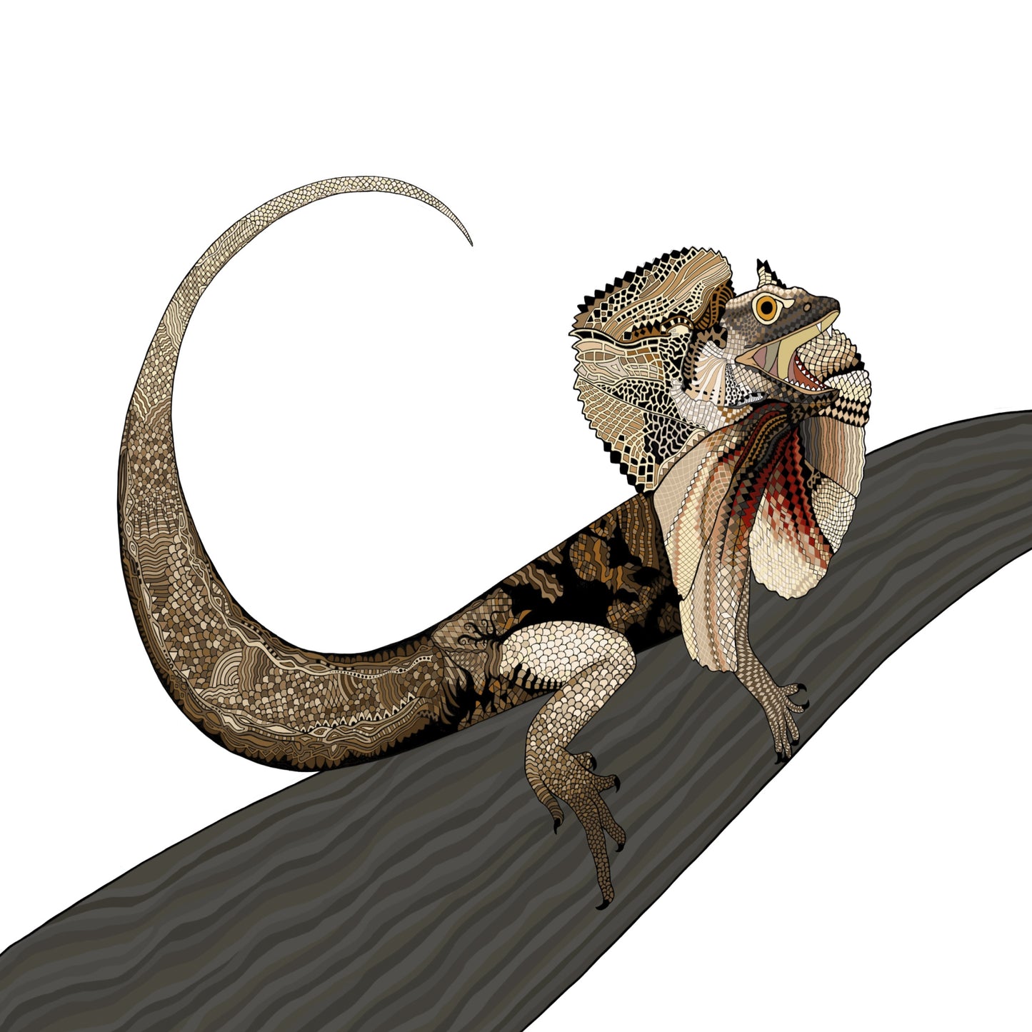 A-Z Australian Animals Frill-necked Lizard Art Print