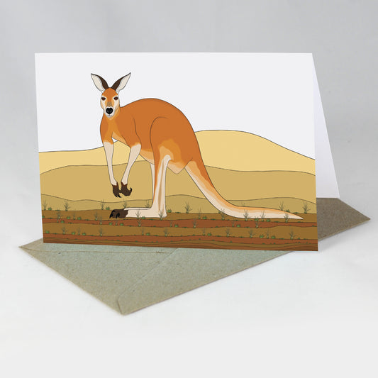 Australian Animal Card - Red Kangaroo
