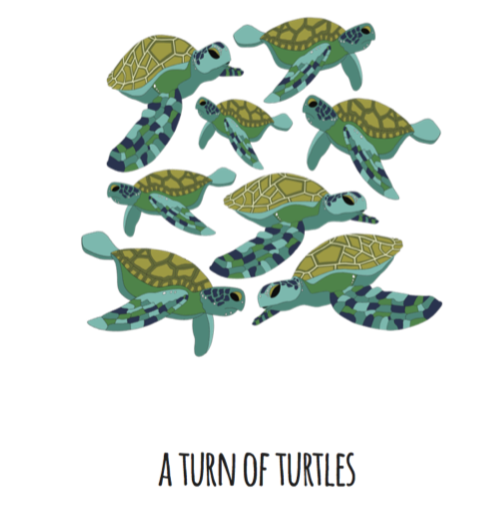 A Turn of Turtles Art Print