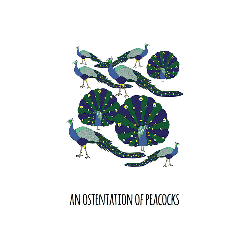 Peacocks parka clearance