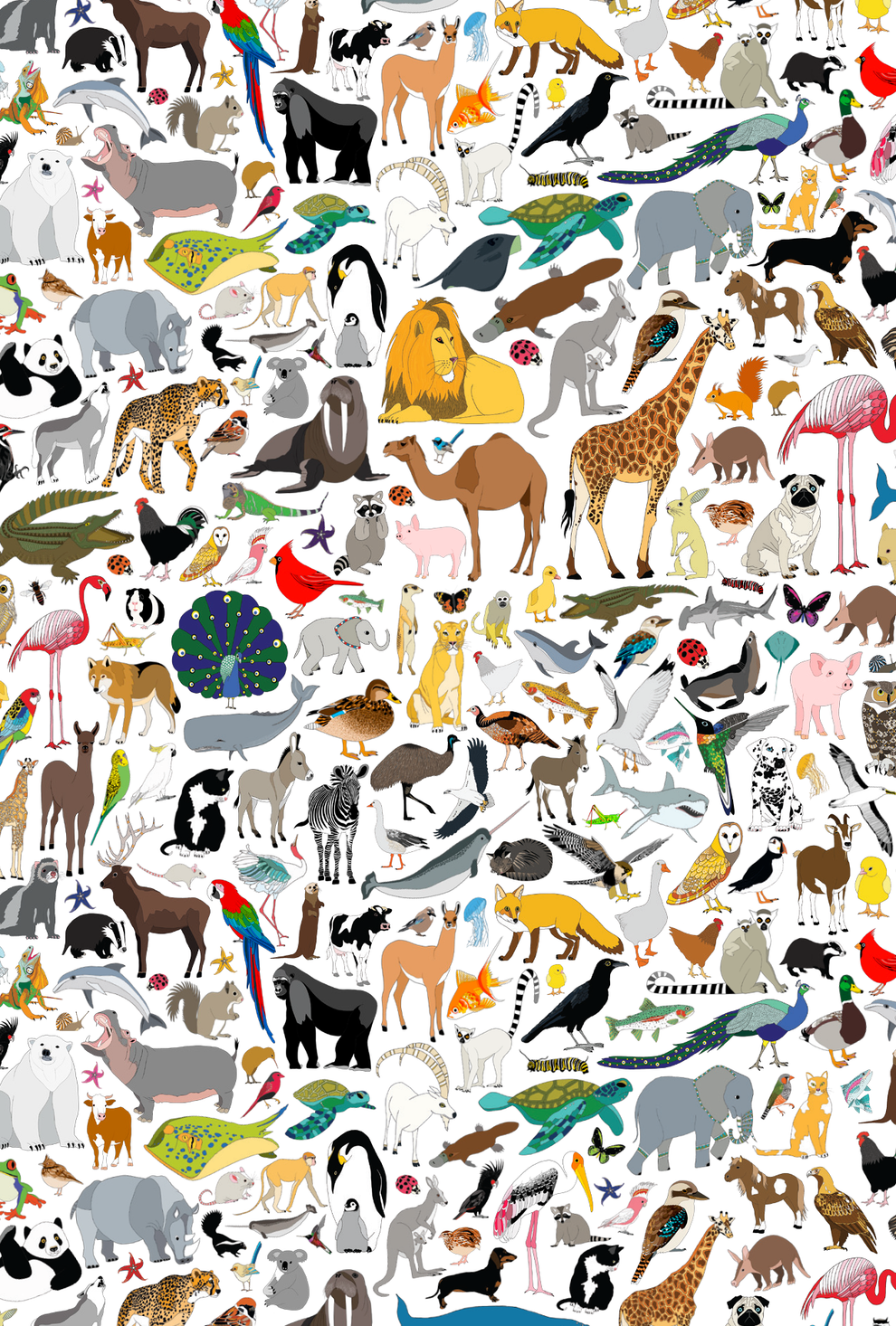 101 Collective Nouns Card Red Parka