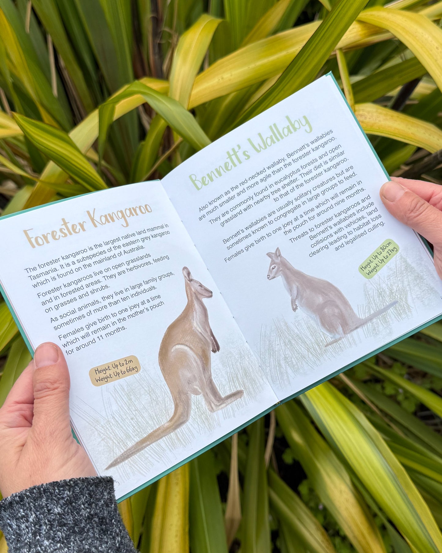 The (almost) Complete Guide to the Mammals of Tasmania