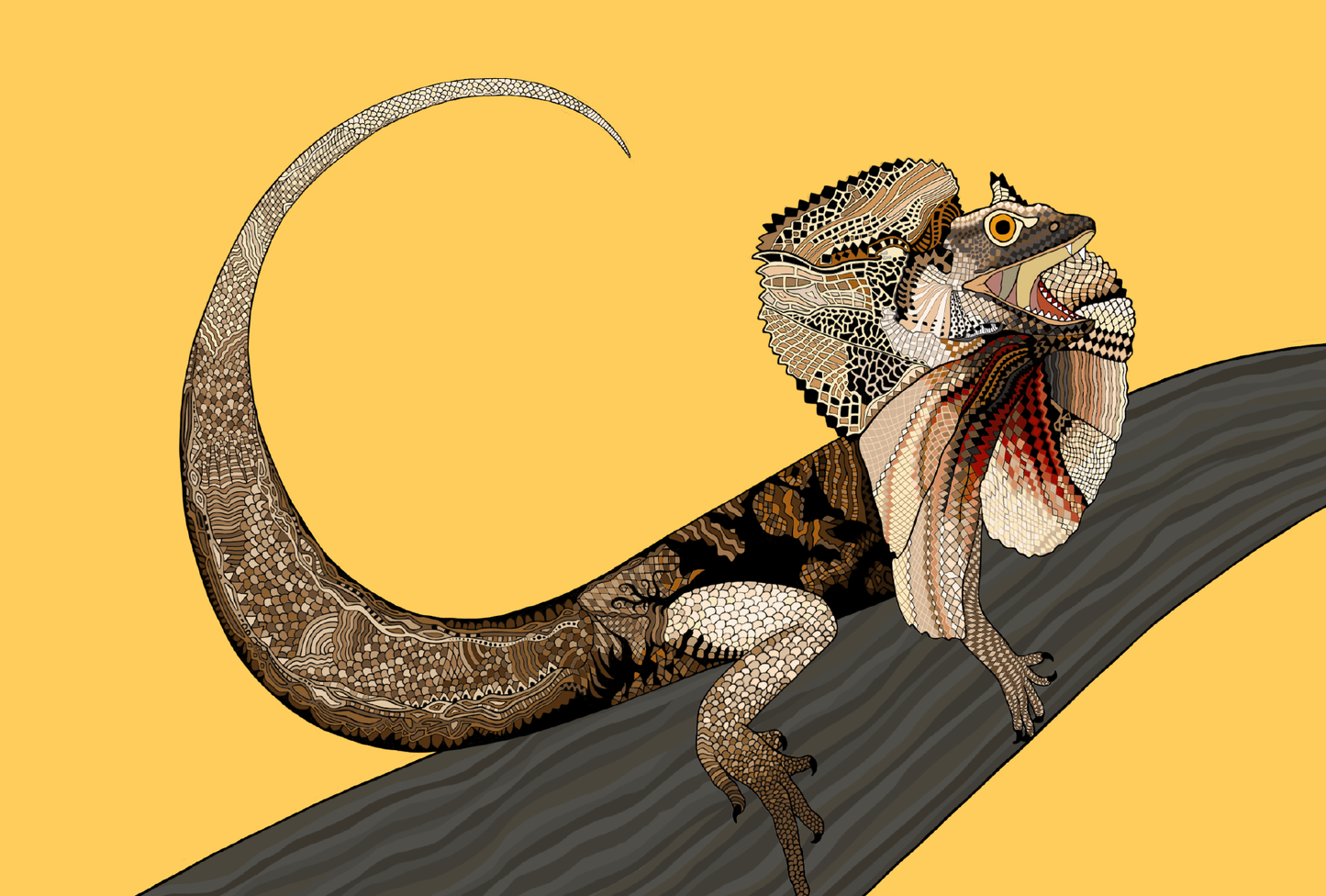 Australian Animals Card - Frillnecked Lizard