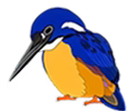 Right Icon