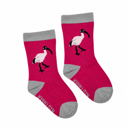 Australian Ibis Socks