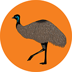 Emu Bottle Opener Magnet