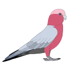 Left Icon