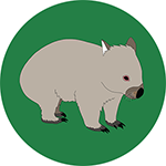 Wombat Bottle Opener Magnet