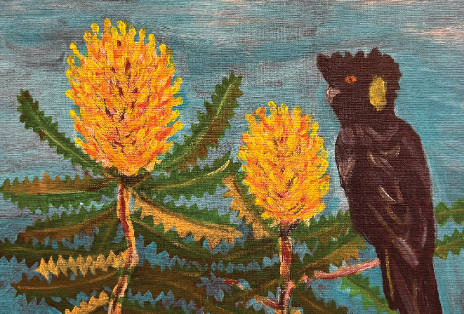 Yellow-tailed Black Cockatoo and Banksia Card