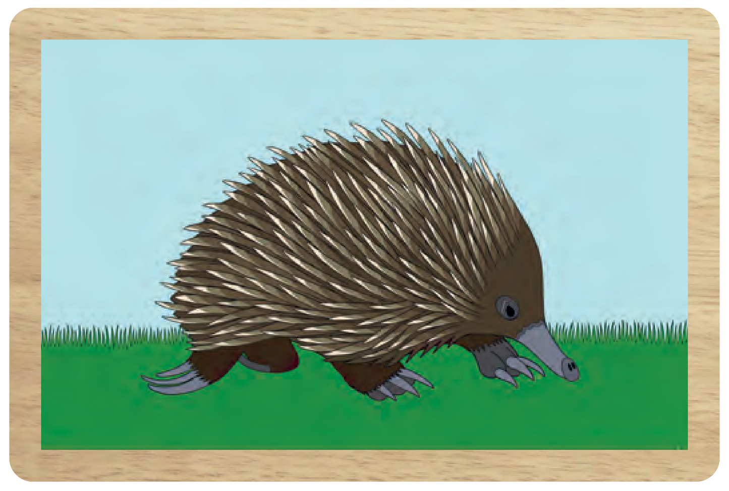 Echidna Wooden Magnet