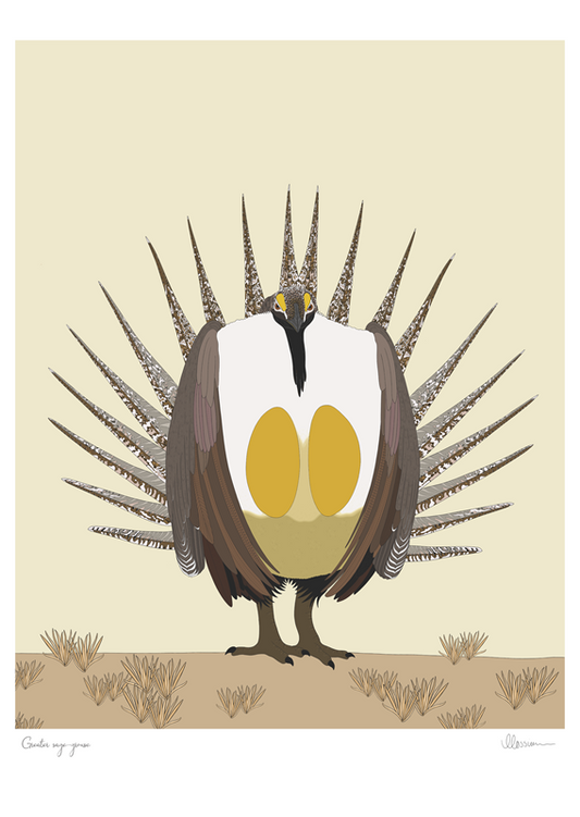 Greater Sage-grouse Print