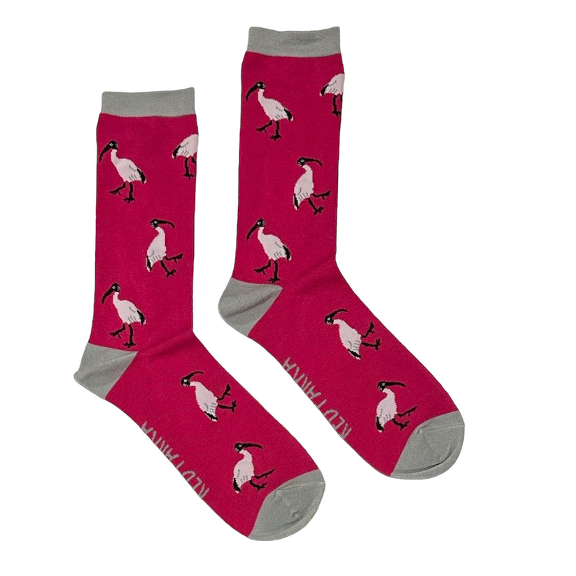 Ibis Socks – Red Parka