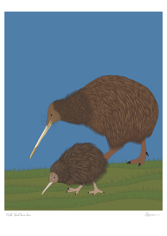 North Island Brown Kiwi Print – Red Parka