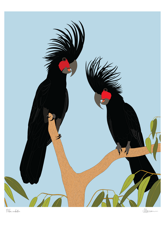 Palm Cockatoo Print