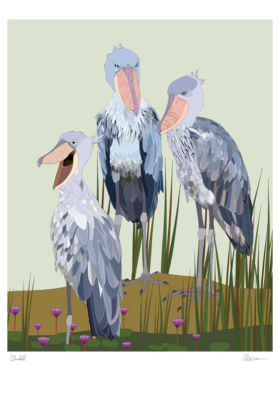 Shoebill Print – Red Parka