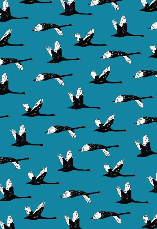 Black Swans in Flight Card