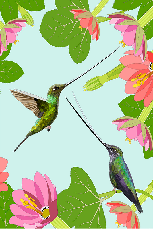 Sword-billed Hummingbird Card
