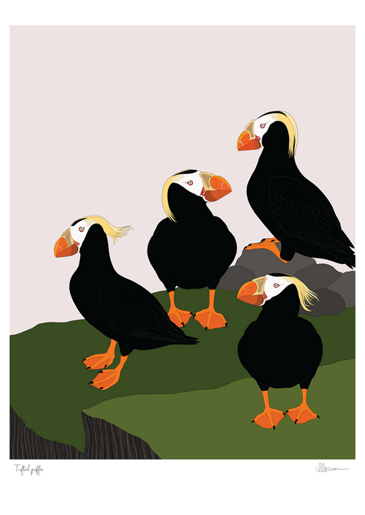Tufted Puffin Print