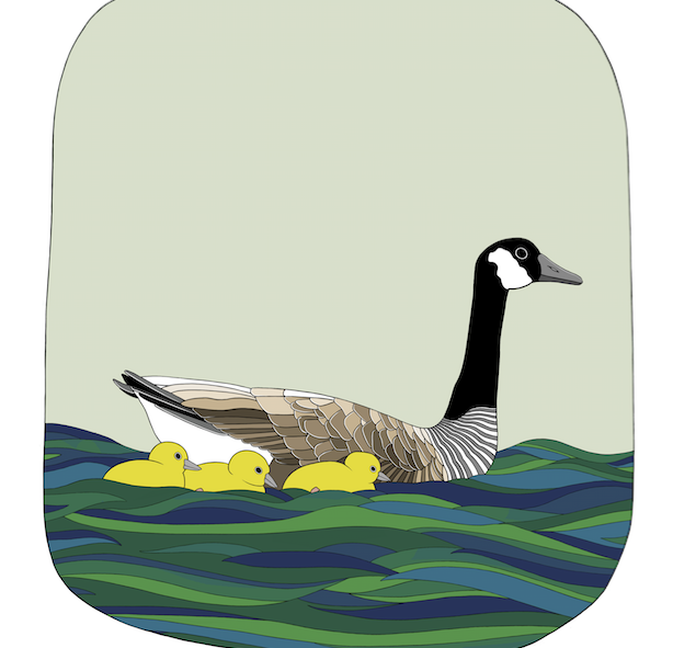 Baby Goose Art Print