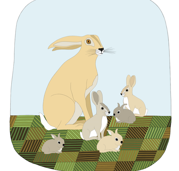 Baby Hare Art Print