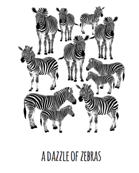 A Dazzle of Zebras Art Print