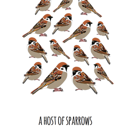 A Host of Sparrows Art Print