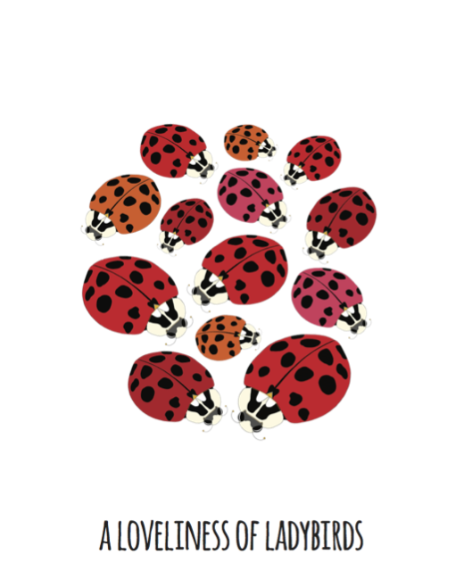 A Loveliness of Ladybirds Art Print