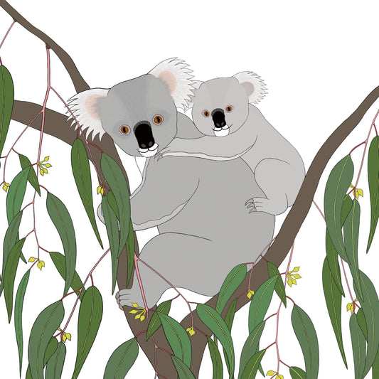 A-Z Australian Animals Koala Art Print