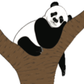 A-Z Giant Panda Art Print