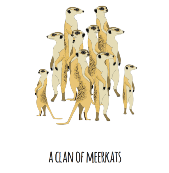 A Clan of Meerkats Art Print