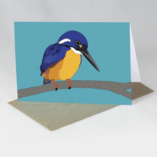 Australian Animal Card - Azure Kingfisher