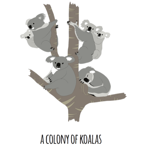 A Colony of Koalas Art Print