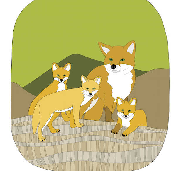 Baby Fox Art Print