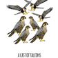 A Cast of Falcons Art Print
