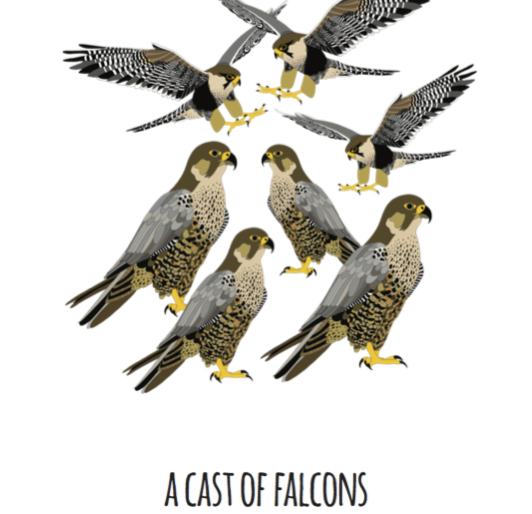 A Cast of Falcons Art Print