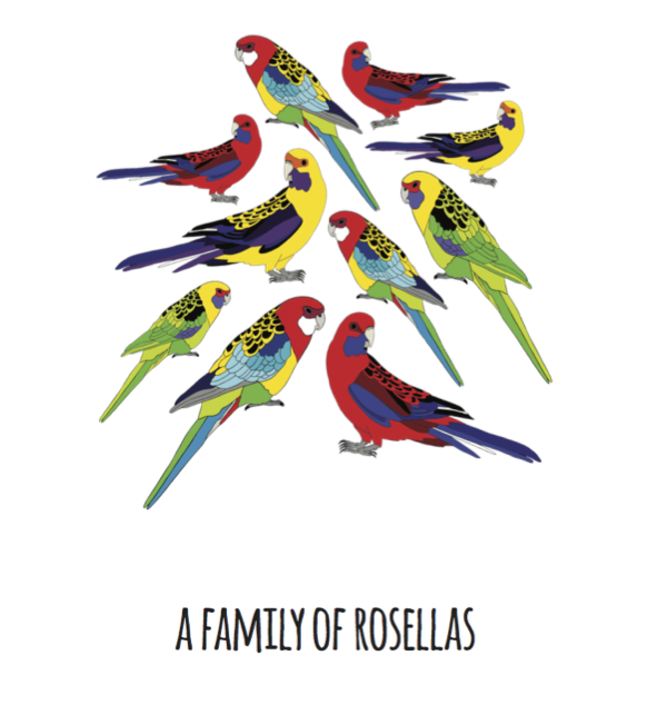 A Family of Rosellas Art Print