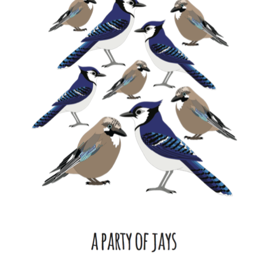 A Party of Jays Art Print