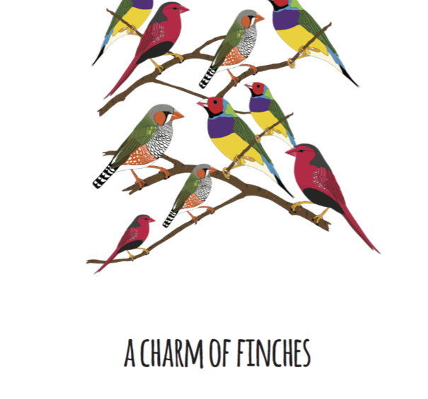 A Charm of Finches Art Print