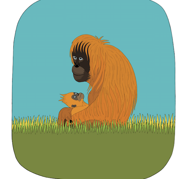 Baby Orangutan Art Print