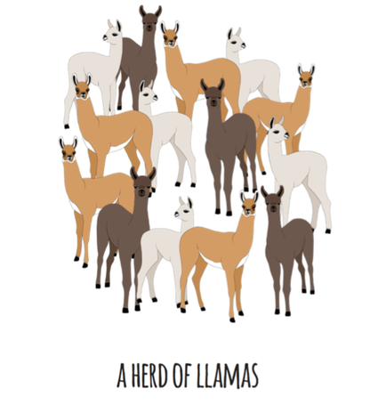 A Heard of Llamas Art Print