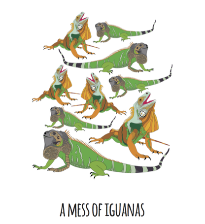 A Mess of Iguanas Art Print