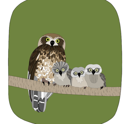 Baby Owl Art Print